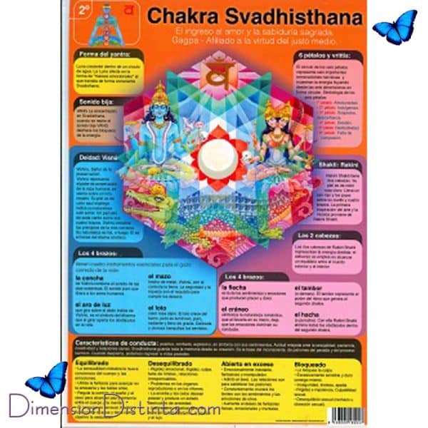 Imagen chakra 2o svadhisthana lamina doble cara | DimensionDistinta