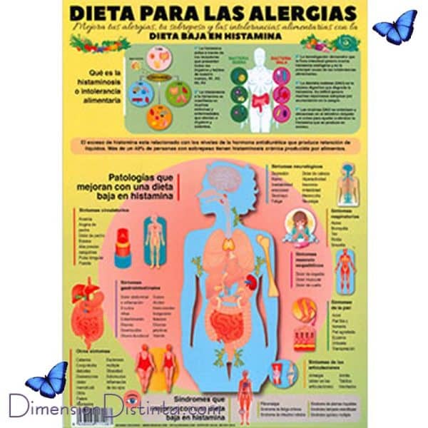 Imagen dieta para las alergias lamina doble cara | DimensionDistinta