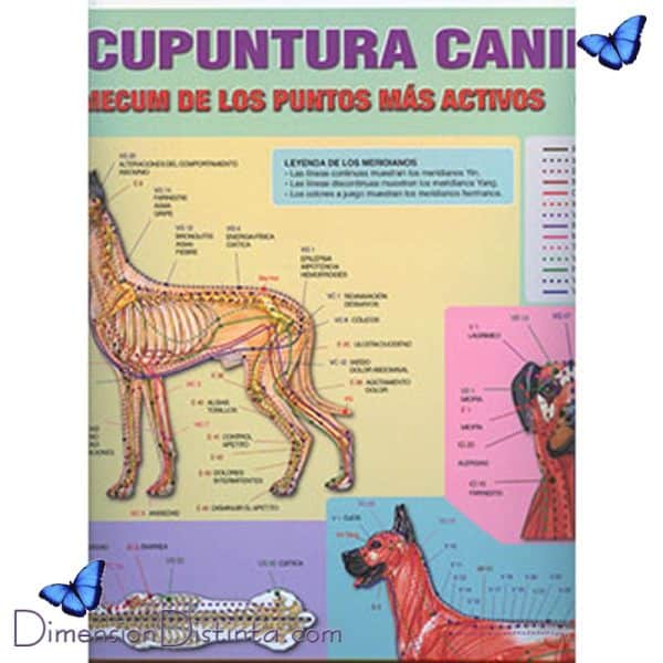 Imagen poster acupuntura canina vademecum de los puntos mas activos | DimensionDistinta