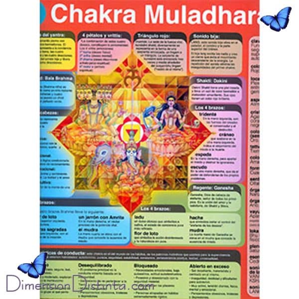 Imagen poster chakra 1o muladhara | DimensionDistinta