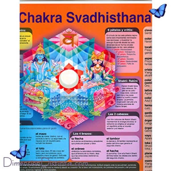 Imagen poster chakra 2o svadhisthana | DimensionDistinta