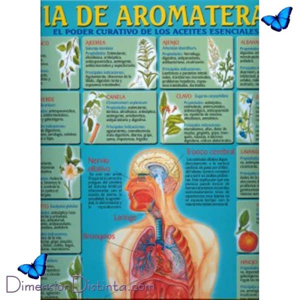 Imagen poster guia de aromaterapia | DimensionDistinta