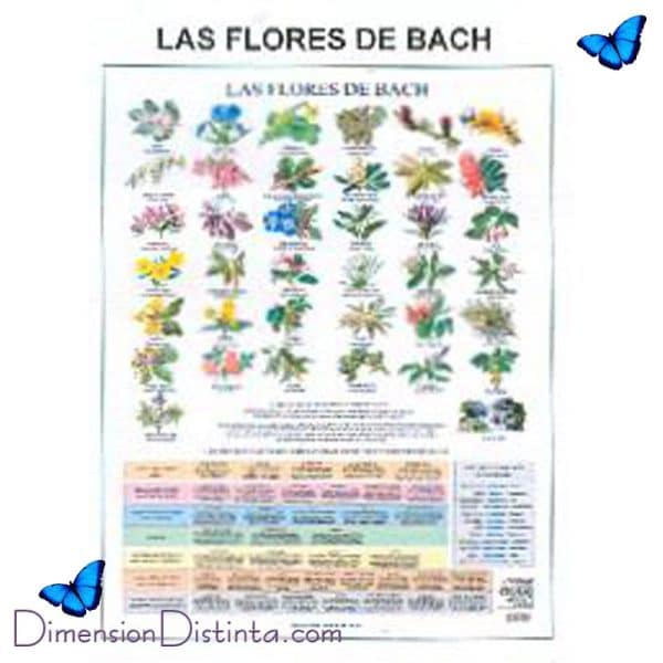 Imagen poster las flores de bach | DimensionDistinta