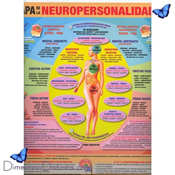 Imagen poster mapa de la neuropersonalidad | DimensionDistinta