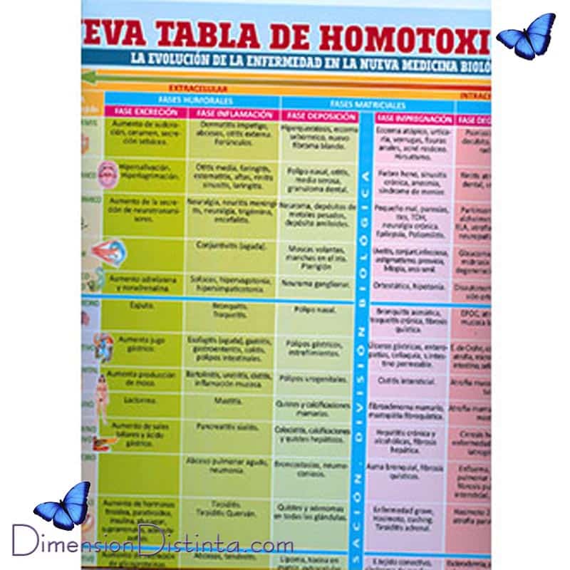 Imagen poster nueva tabla de homotoxicologia | DimensionDistinta