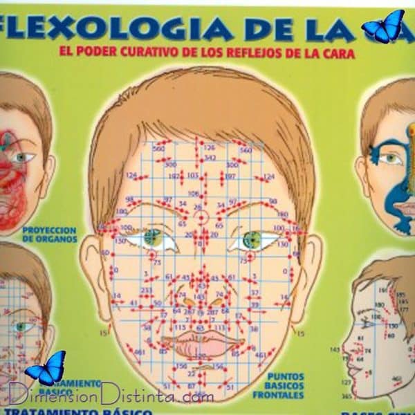 Imagen poster reflexologia de la cara | DimensionDistinta