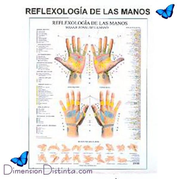Imagen poster reflexologia de las manos | DimensionDistinta