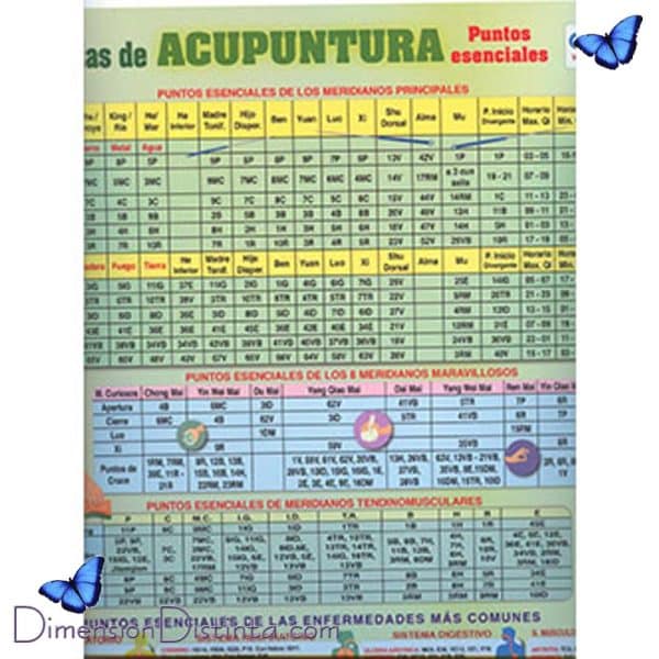 Imagen poster tablas de acupuntura | DimensionDistinta