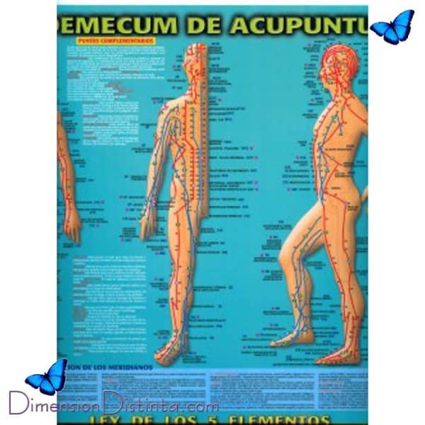 Imagen poster vademecum de acupuntura | DimensionDistinta
