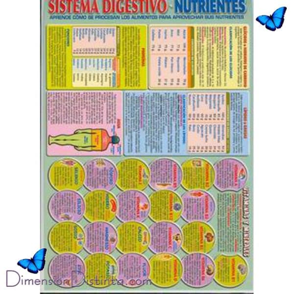 Imagen sistema digestivo nutrientes lamina doble cara | DimensionDistinta