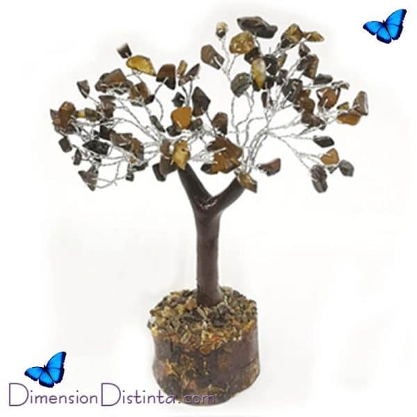 Imagen bonsai piedras chip 1520cm ojo tigre | DimensionDistinta